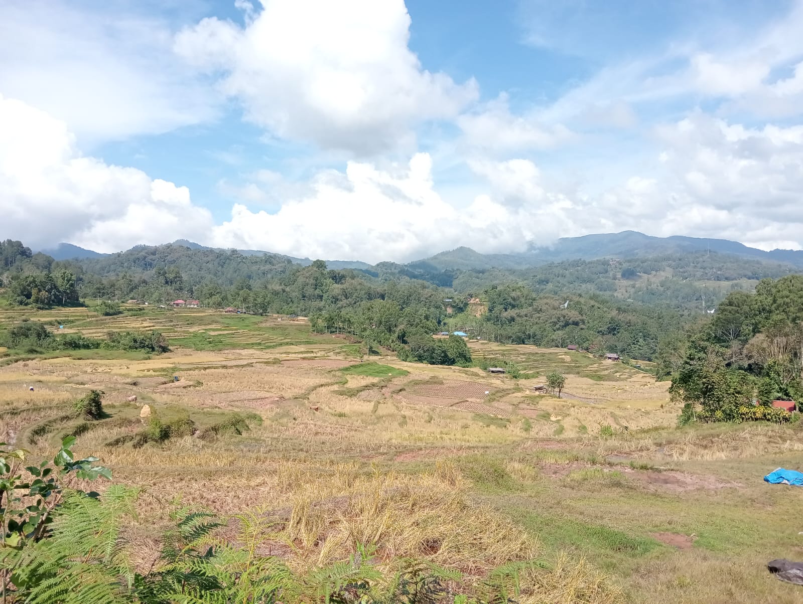 Calon Wisata